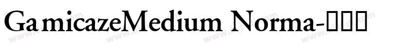 GamicazeMedium Norma字体转换
